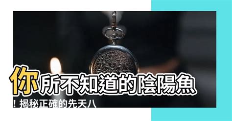 陰陽魚正確太極圖